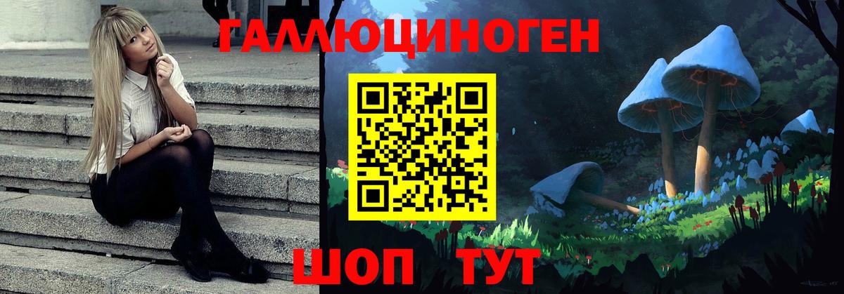Псилоцибиновые грибы MAGIC MUSHROOMS Балтийск