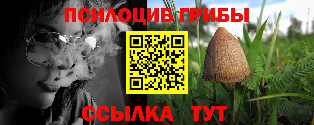 Балтийск  Галлюциногенные грибы мухоморы  Вход с VPN 